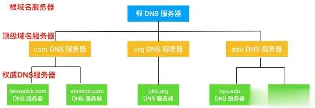 解析DNS服务器价格之谜，全面解析各类DNS服务器的性价比，dns1服务器