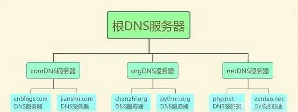 深入解析域名服务器类型，DNS解析的奥秘揭秘，域名服务器类型包括