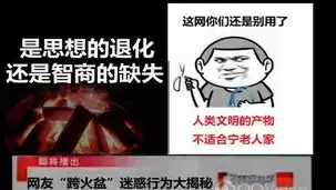 揭秘恶搞网站源码，揭秘网络恶搞的神秘面纱，恶搞网站源码在线观看