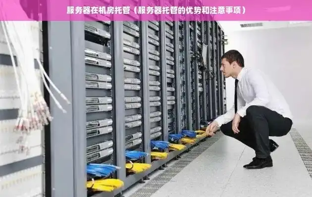 揭秘服务器托管U，高效、安全、便捷的服务器托管解决方案，服务器托管多少钱一年