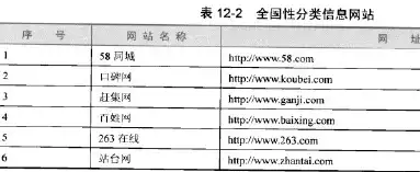 网络世界大观园，揭秘网站类型分类的奥秘，网站类型分类有哪些种类