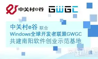 揭秘软件开发公司服务优势，技术实力、定制化方案与卓越服务品质，软件开发公司服务优势分析