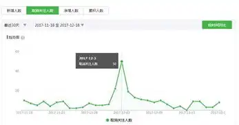 精准SEO预算报价指南，打造高效网站流量策略，seo报价表