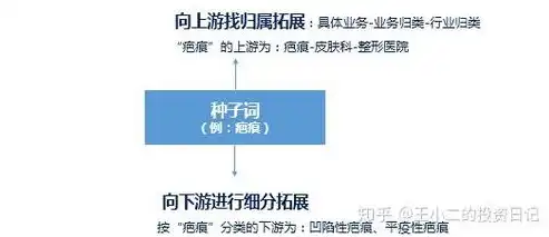 深度解析专注关键词优化推广策略，提升网站流量与转化率的秘诀，专注关键词优化推广策略