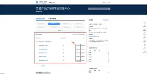 轻松掌握网站备案信息查询技巧，保障网络安全，如何查询网站备案信息表