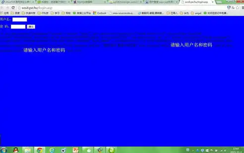 揭秘视觉ASP网站源码，技术与美学的完美融合，视觉asp网站源码在哪