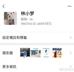 揭秘企业网站WAP源码，打造移动端营销利器，企业网站wap源码是什么