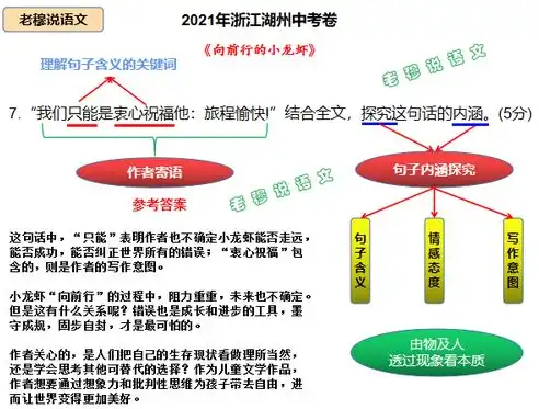 深入探索快的双线服务器，性能与体验的双重提升之道，访问快的双线服务器