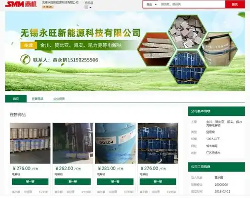 打造专业品牌形象——上海公司网站建设全方位解析，上海公司网站建设推广