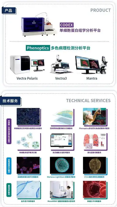 打造企业新形象，深度解析公司网站制作策略与技巧，公司网站制作需要多少钱