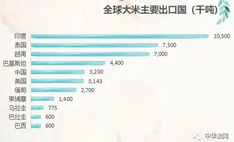 深入解析联合国粮农组织数据库（FAOSTAT），全球农业数据的权威平台，联合国粮农组织数据库网址