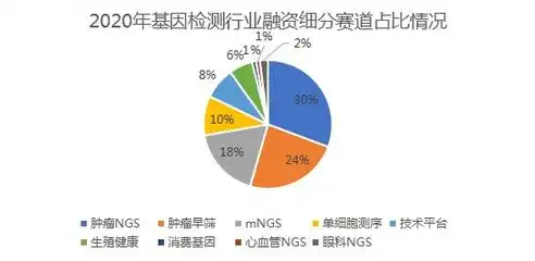 挖掘关键词背后的市场潜力，案例分析与实践指南，关键词分析挖掘方法