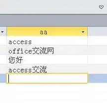 深入剖析，揭秘Access网站源码，探索网站背后的秘密，access搭建的网站