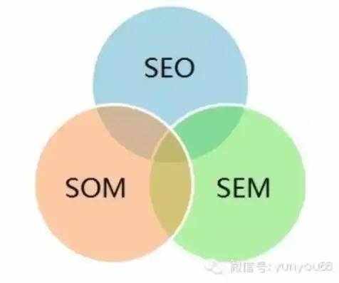 SEO与SEM的深度解析，揭示两者之间的差异与关联，seo和sem有什么区别和联系