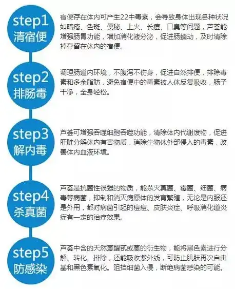 固原关键词自然排名策略，提升网站流量，抢占市场先机，关注固原