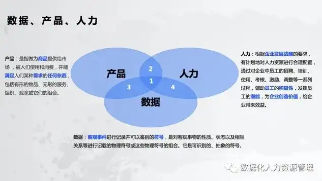 深度解析人力资源数据合集，揭秘企业人才管理奥秘，人力资源数据合集怎么做