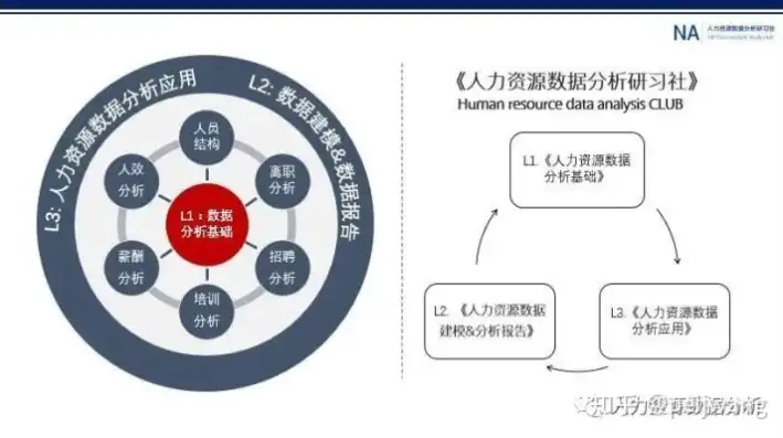 深度解析人力资源数据合集，揭秘企业人才管理奥秘，人力资源数据合集怎么做