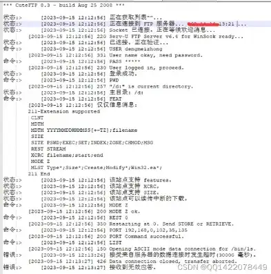 深入解析FTP服务器乱码问题及解决方案，ftp乱码问题