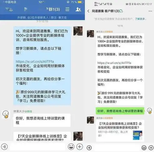 宁波网络优化SEO，全方位提升网站流量与排名，助力企业线上发展，宁波网络优化推广公