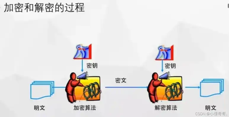 揭秘加密技术分类，从古典到现代的多维度解析，加密技术有哪些分类方式呢