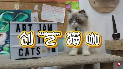 猫咖行业揭秘，跨界融合的宠物餐饮新业态，猫咖属于什么企业类型