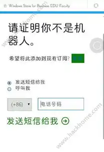 数据编码分类解析，探寻信息世界的奥秘，数据编码的分类有哪些类型