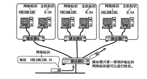 域服务器在现代网络架构中的核心地位及其发展趋势，域服务器ip地址