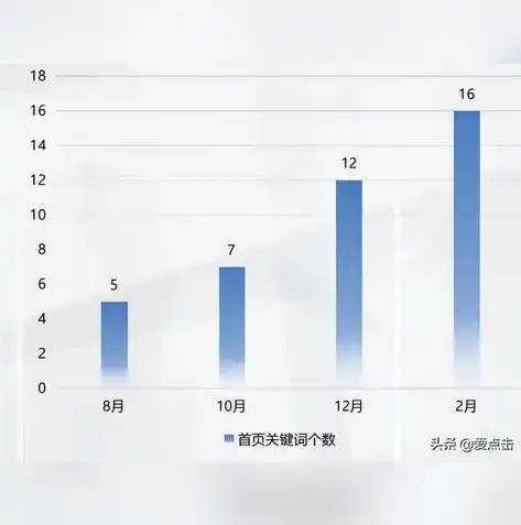 SEO每日工作指南，高效优化策略与执行细节，seo每日工作安排怎么写