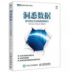 数据可视化实验，探索信息之美，挖掘数据潜能，数据的可视化实验报告