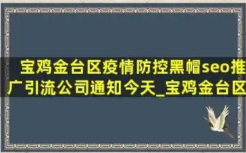 深度解析宝鸡金台SEO，助力企业在线营销新策略，宝鸡金台森林公园怎么样