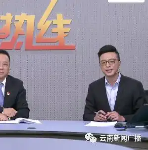 信息系统安全审计在保障网络安全中的核心作用及其深远影响，信息系统安全审计主要作用在于