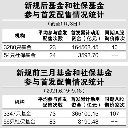 南阳SEO网站价格解析，投资与回报的理性选择，南阳seo网站价格表