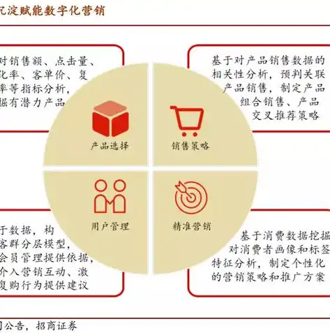 揭秘代运营网站，如何助企业实现网络营销的飞跃，代运营网站平台多少钱一年