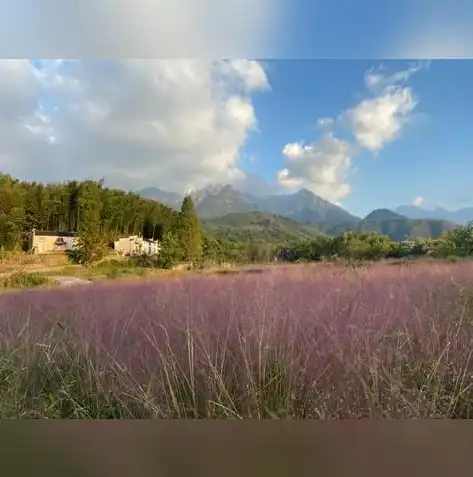 黄山风情网，打造沉浸式体验，再现黄山自然与人文之美，黄山网站设计公司