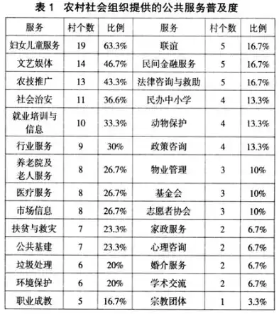 农村公共服务现状分析与展望，农村公共服务的现状和趋势