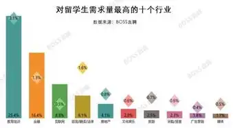 电子商务就业新风向，多维度解析就业方向及薪资前景，电子商务就业方向及薪资待遇