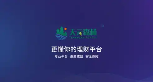 福安网站建设，打造专业、高效的网络平台，助力企业腾飞，福安网站建设招标公告