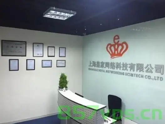 沪上网站建设翘楚，揭秘上海顶级网站制作公司风采，上海做网站的公司哪家好