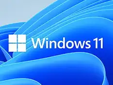 深入解析，Windows 11虚拟化功能开启指南及注意事项，windows11自带虚拟机