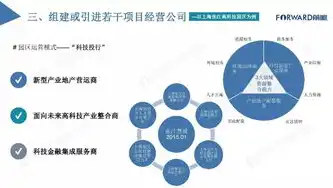 深入剖析SEO网站问题，全面诊断与优化策略，seo网站分析报告