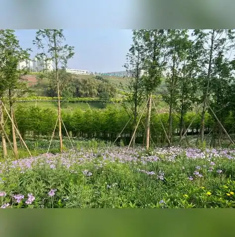 春日赏花指南，探索我国十大美丽花海，关键词是几个字怎么写