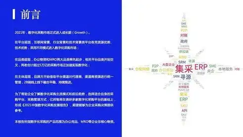 深度解析石家庄网站开发，助力企业迈向数字化未来，石家庄网站开发公司