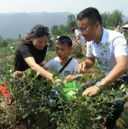 全方位助力企业腾飞，揭秘专业网站推广公司的核心优势，网站推广公司有哪些