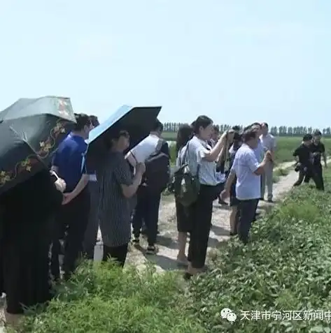 高端网站设计的艺术与科学，打造品牌独特魅力的关键策略，高端网站设计企业网站建设