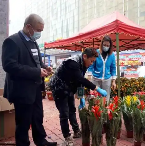 韶关花卉网站SEO优化策略，提升网站排名，吸引更多花卉爱好者，韶关花卉批发哪里便宜