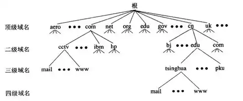 深入解析公司服务器IP地址及其重要性与维护策略，公司服务器ip地址