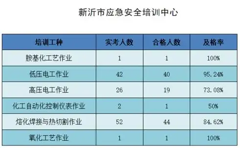 安全生产审计，守护企业生命线的坚实盾牌，审计 安全生产费