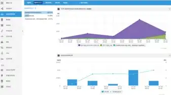 深入剖析Apm应用性能管理系统，助力企业提升应用质量与效率，apm 应用性能管理