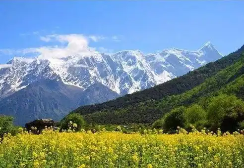 深度解析林芝SEO，助力林芝旅游业发展，打造高原生态旅游新名片