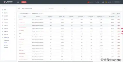 揭秘网站关键词排名优化策略，提升网站流量与曝光度的秘籍，网站关键词搜索软件